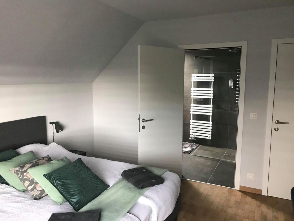 Villa Cecha B&B &Wellness Ostend Luaran gambar