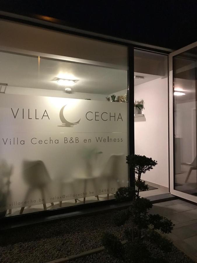 Villa Cecha B&B &Wellness Ostend Luaran gambar